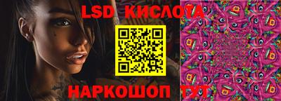 Альфа ПВП Аргун