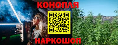Альфа ПВП Аргун